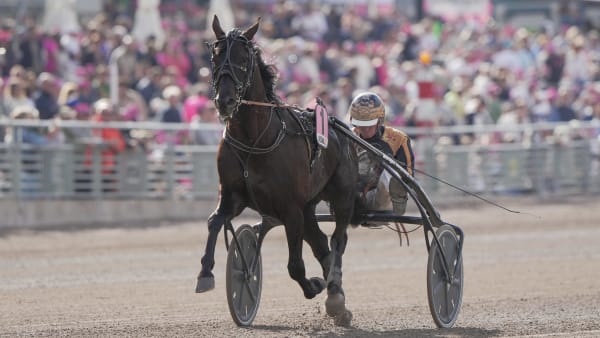 Foto: THOMAS BLOMQVIST/TR BILD