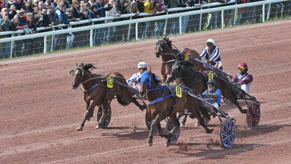 Foto: JEAN-LUC LAMAERE/LE TROT