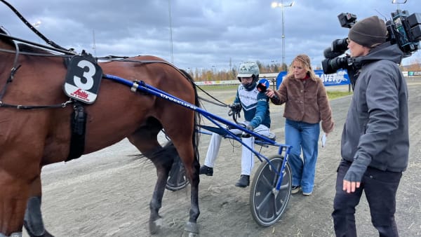 Foto: Mattias Holmgren/TR Bild.