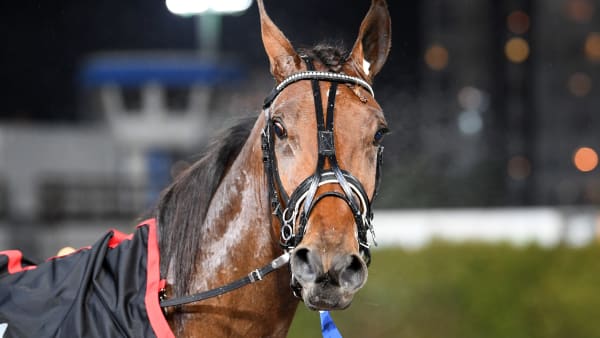 Foto: MALIN ALBINSSON / TR BILD