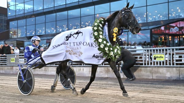 Foto: MARIA HOLMÉN / TR BILD