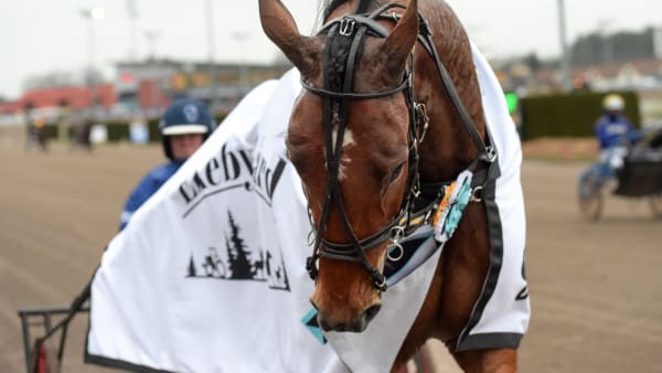 Foto: LARS JAKOBSSON / TR BILD