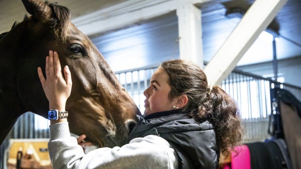 Foto: Anneli Åsén Carlsson