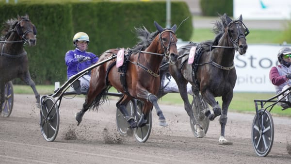 Foto: THOMAS BLOMQVIST / TR BILD