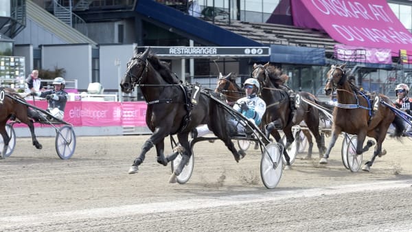 Foto: LARS JAKOBSSON / TR BILD