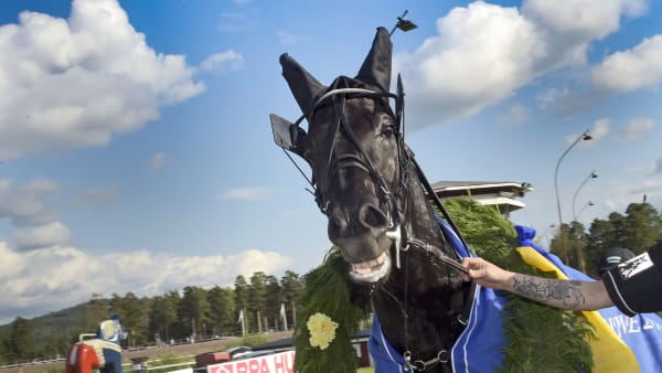 Foto: LARS JAKOBSSON / TR BILD