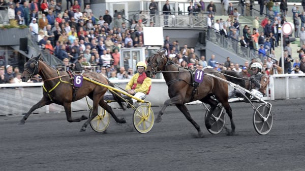 Foto: LARS JAKOBSSON / TR BILD