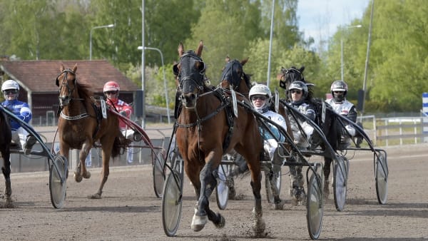 Foto: LARS JAKOBSSON / TR BILD