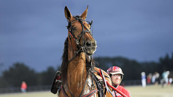 Foto: LARS JAKOBSSON / TR BILD