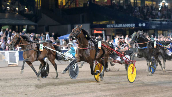 Foto: LARS JAKOBSSON / TR BILD