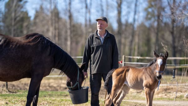 Foto: THOMAS BLOMQVIST / TR BILD