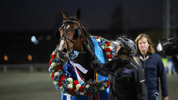 Foto: SOPHIE NYBLOM