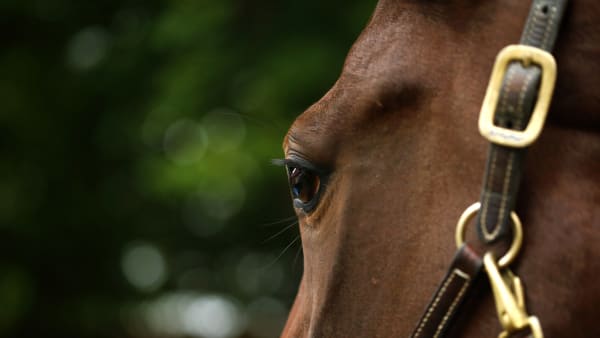 Foto: MARIA HOLMÉN / TR BILD