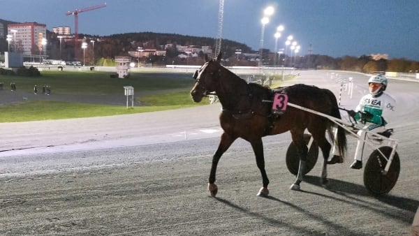 Foto: LUCAS ERICSSON/TR BILD