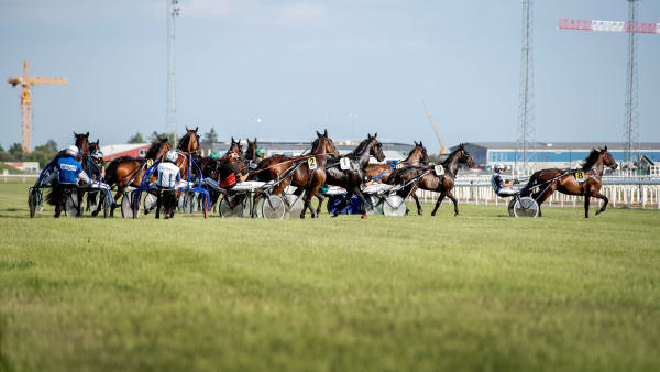 Foto: Elina Björklund/ Svensk Galopp