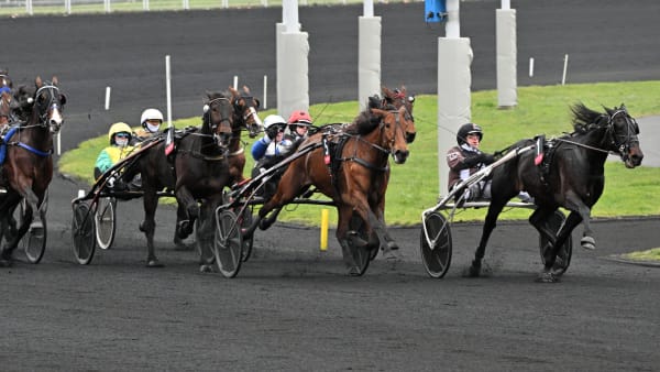 Foto: Jean-Luc Lamaère/Le Trot