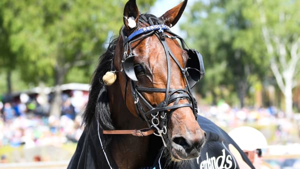 Foto: MALIN ALBINSSON / TR BILD