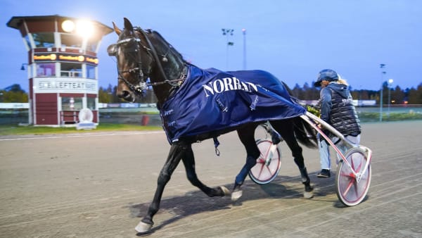 Foto: OLA WESTERBERG / TR BILD
