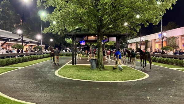 Foto: Mattias Holmgren