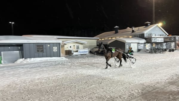 Foto: Lars-Johan Holm/TR Bild.