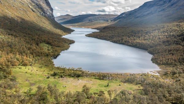 Foto: THOMAS BLOMQVIST / TR BILD