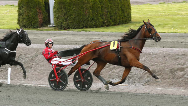 Foto: MARIA HOLMÉN / TR BILD