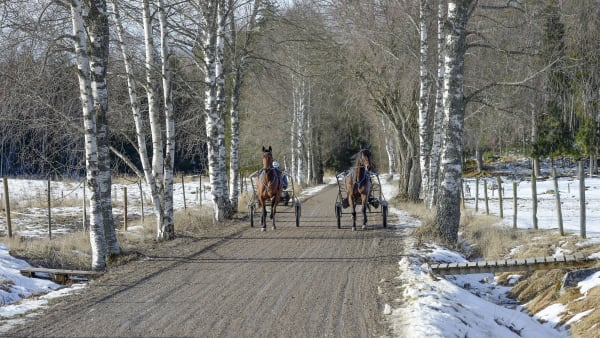 Foto: LARS JAKOBSSON/TR BILD