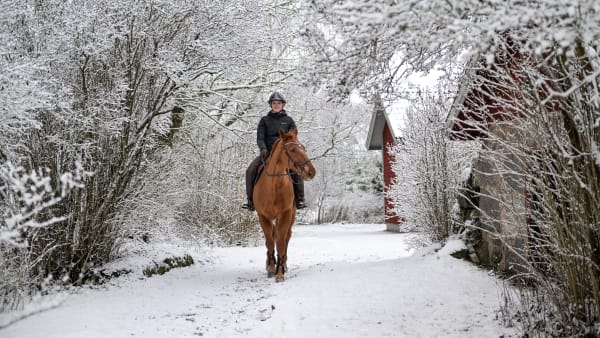 Foto: LARS JAKOBSSON / TR BILD