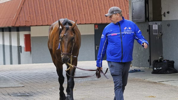 Foto: Jean-Luc Lamaère-LeTROT