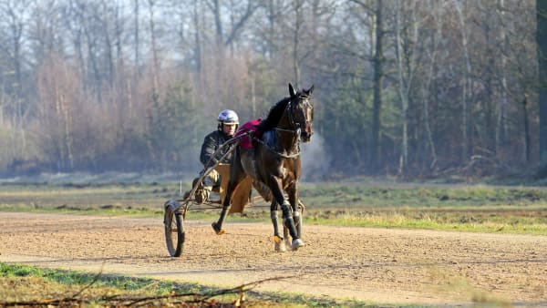 Foto: MIA TÖRNBERG/TR BILD