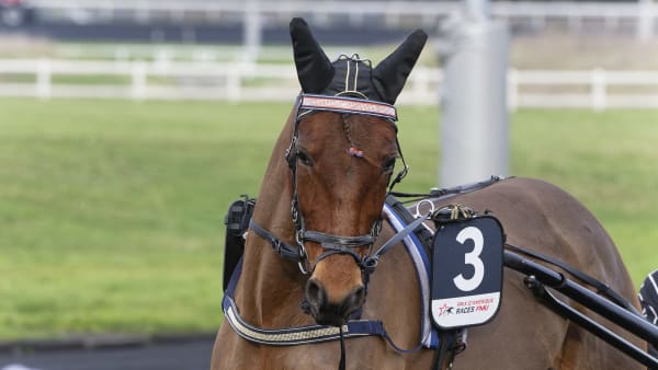 Foto: JEAN-LUC LAMAÈRE/TR BILD