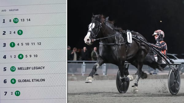 Foto: Privat & TR Bild.