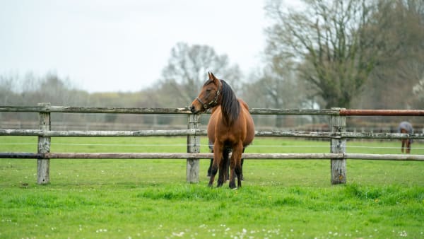 Foto: THOMAS BLOMQVIST / TR BILD