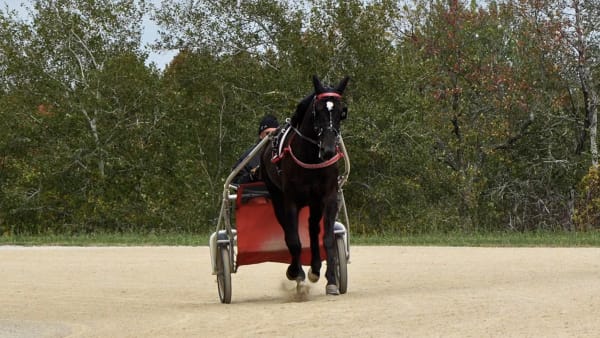 Foto: Privat