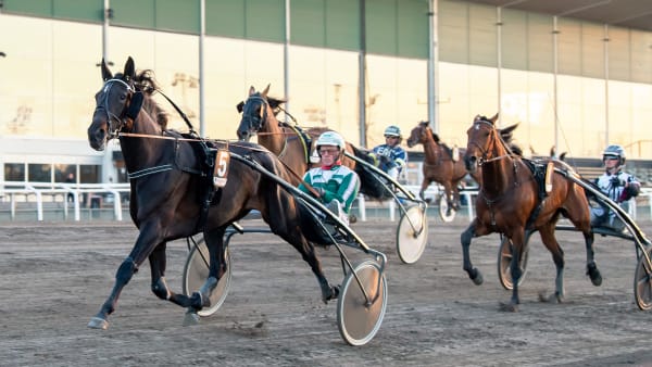 Foto: MIKAEL ROSENQUIST / TR BILD