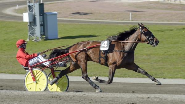 Foto: LARS JAKOBSSON / TR BILD