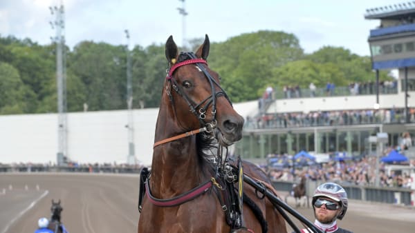 Foto: LARS JAKOBSSON / TR BILD