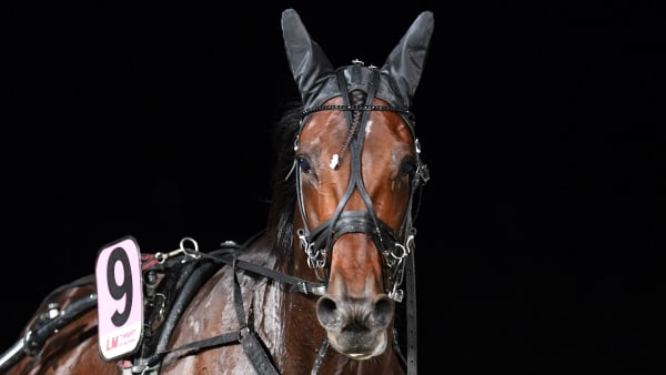 Foto: MALIN ALBINSSON / TR BILD