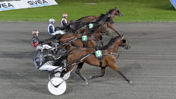Foto: LARS JAKOBSSON / TR BILD