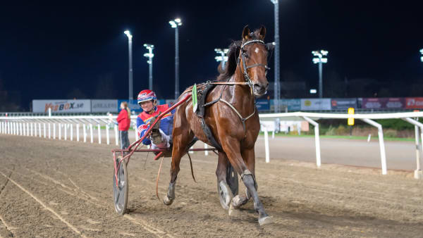 Foto: MIKAEL ROSENQUIST / TR BILD