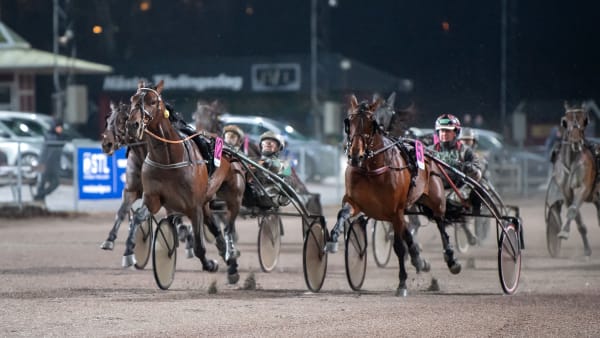 Foto: MIKAEL ROSENQUIST / TR BILD