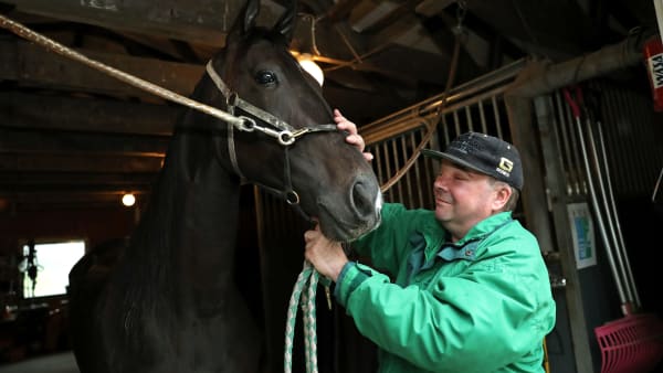 Foto: MARIA HOLMÉN / TR BILD