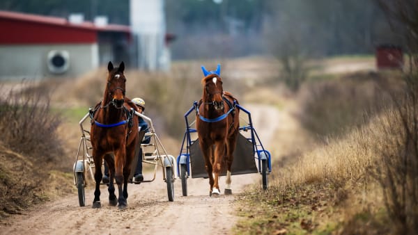 Foto: Suvad Mrkonjic