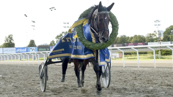 Foto: LARS JAKOBSSON / TR BILD