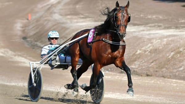 Foto: MARIA HOLMÉN / TR BILD