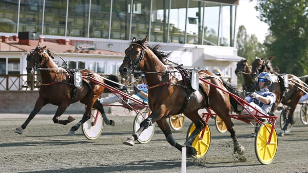 Foto: MARIA HOLMÉN / TR BILD