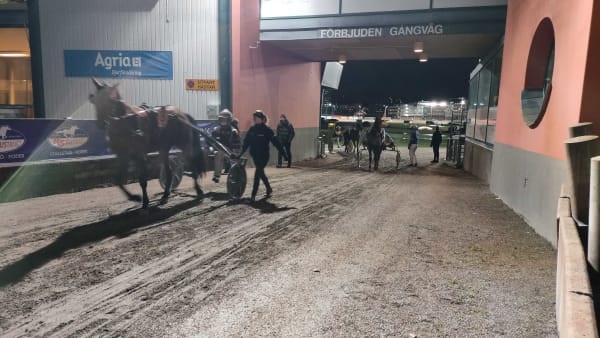 Foto: Lucas Ericsson/TR Bild.