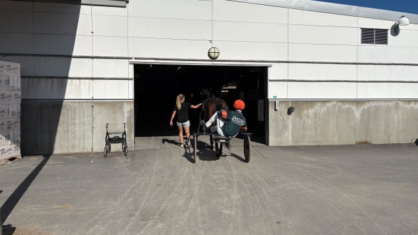 Foto: EMIL PERSSON/TR BILD