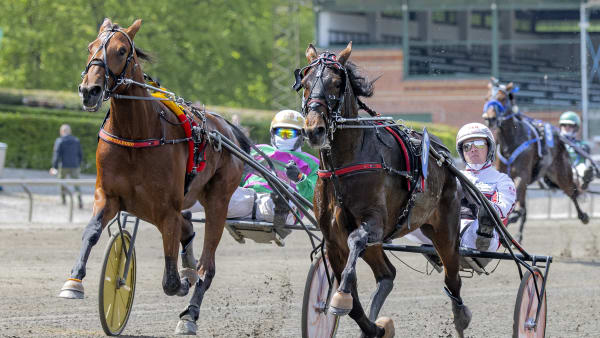 Foto: BURT SEEGER
