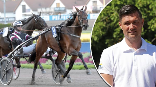 Foto: Lars Jakobsson/Matilda Öhrman/TR Bild/Montage